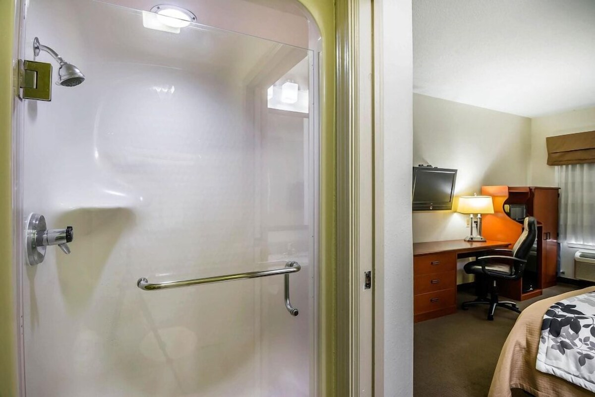 A hotel room with a shower, a desk with a chair, a bed, and a television.