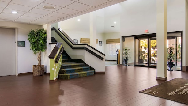 A hotel lobby with a staircase, a reception desk, and a large potted plant.
