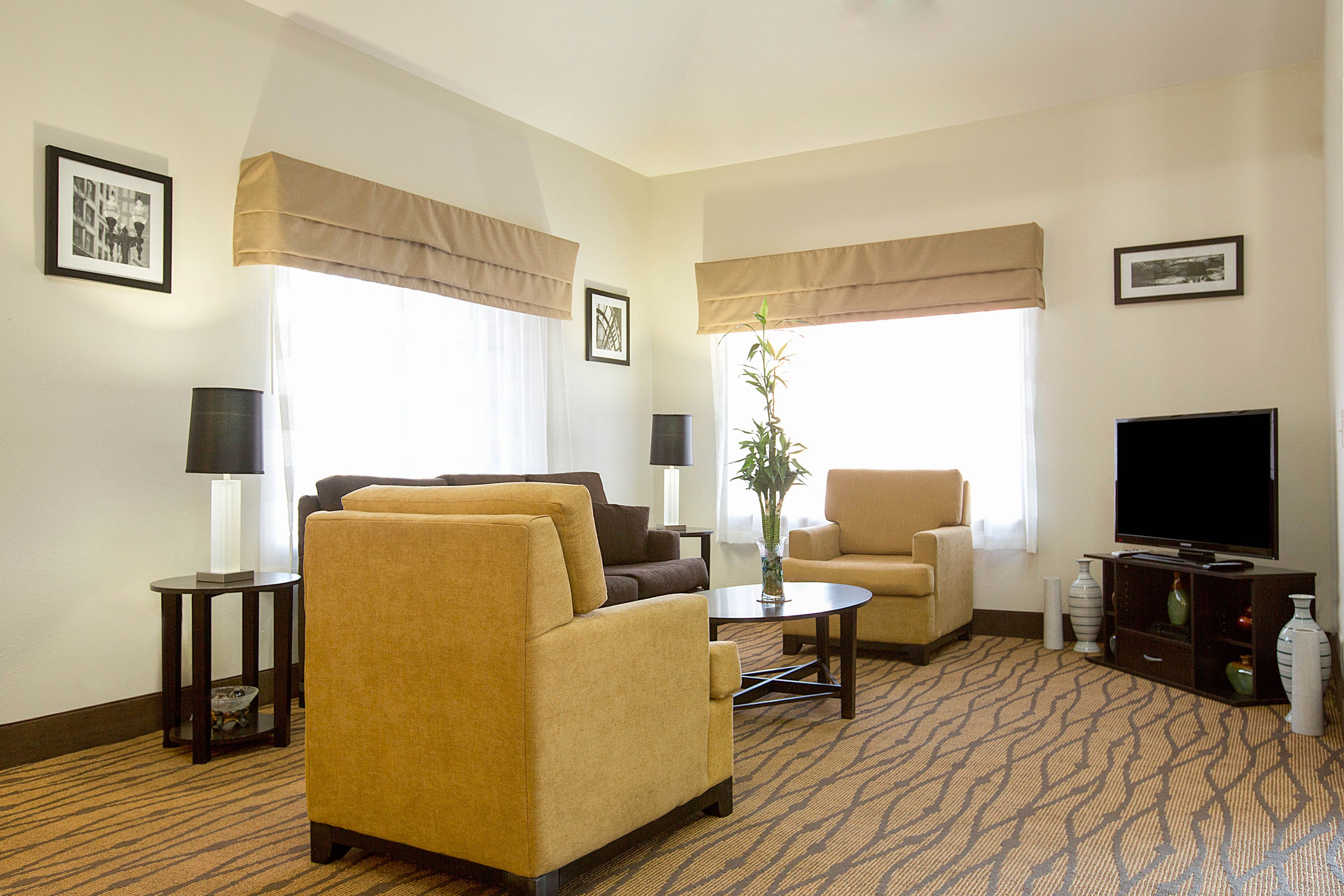 A hotel room with a sofa, armchair, TV, lamp, and a plant.