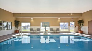 Una piscina interior con paredes de vidrio transparente, un aro de baloncesto y plantas en macetas.