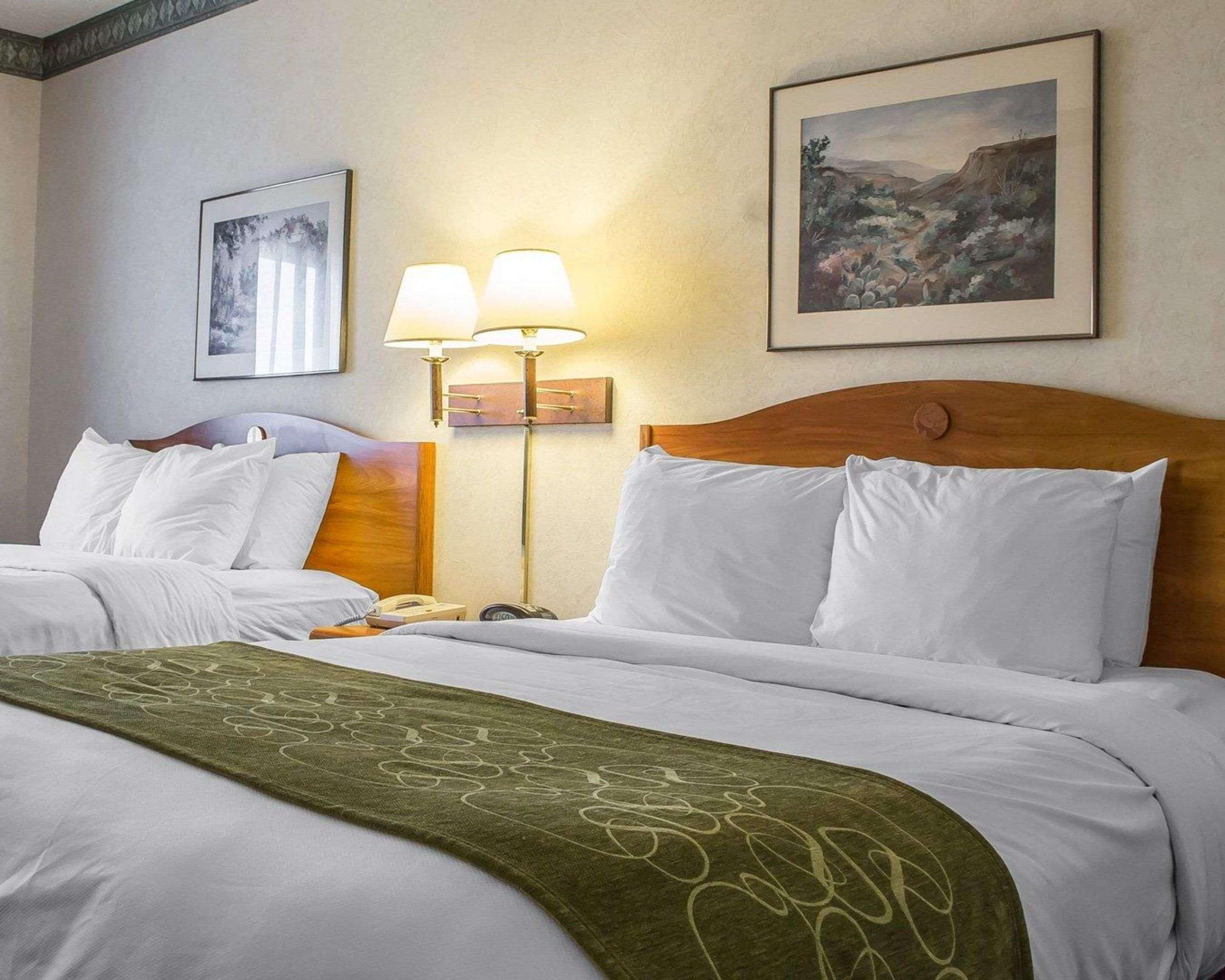 Habitación de hotel con dos camas, un plaid verde estampado, una mesita de noche con lámpara y cuadros en las paredes.