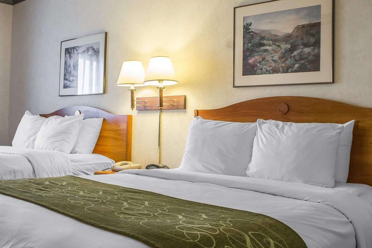 Ein Hotelzimmer mit zwei Betten, einer grünen, gemusterten Decke, einem Nachttisch mit Lampe und gerahmten Bildern an den Wänden.