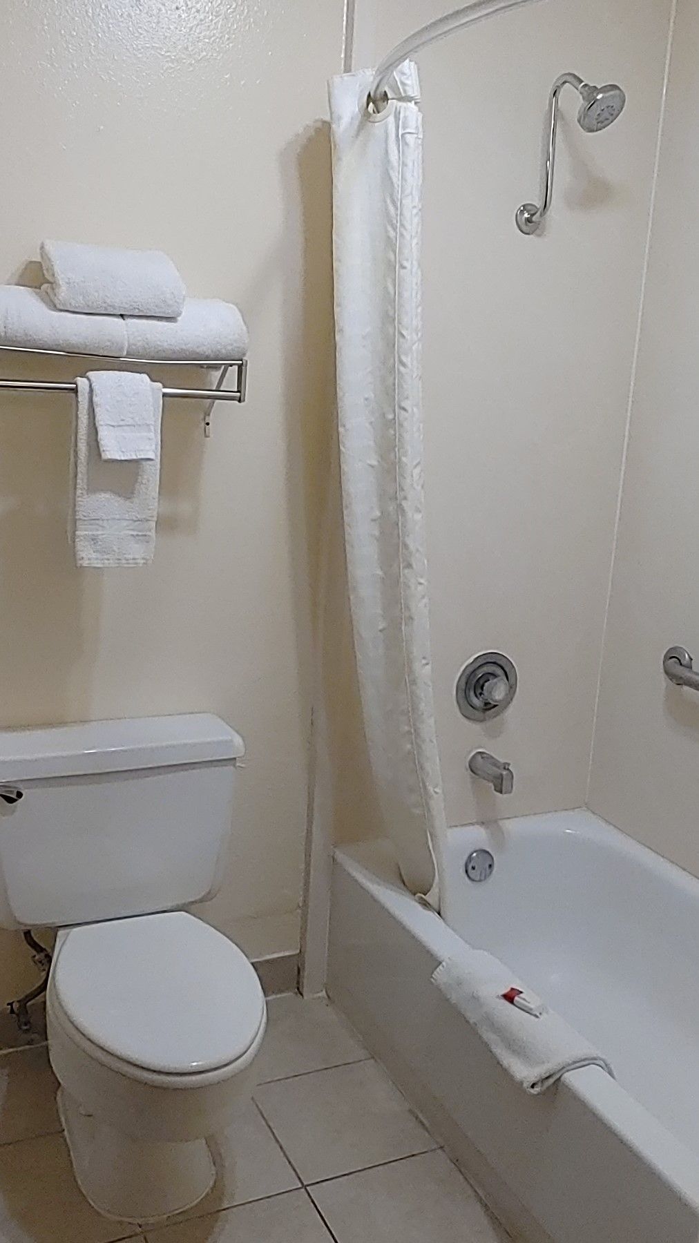 A bathroom with a toilet, a bathtub, and a shower curtain.