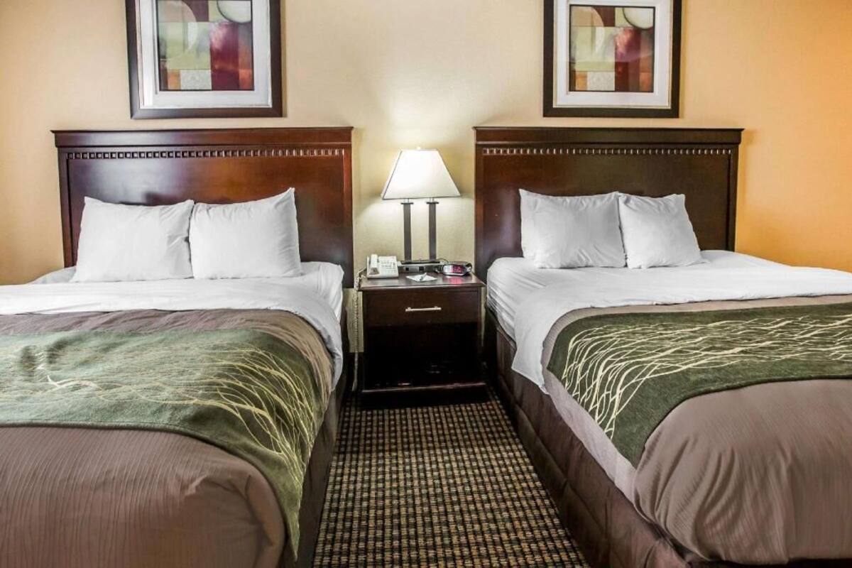 Habitación de hotel con dos camas, una mesita de noche con lámpara y cuadros en las paredes.