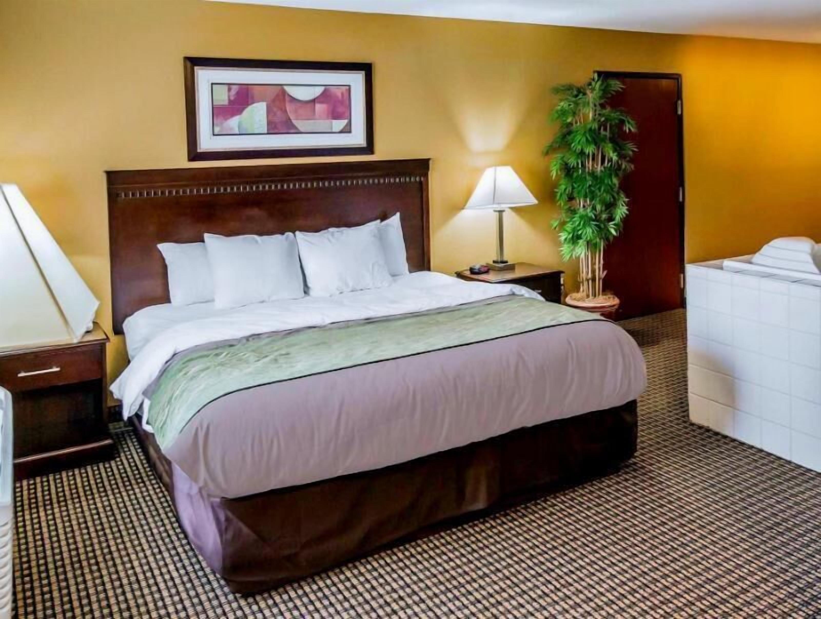 Iron/ironing board, free WiFi, bed sheets, alarm clocks