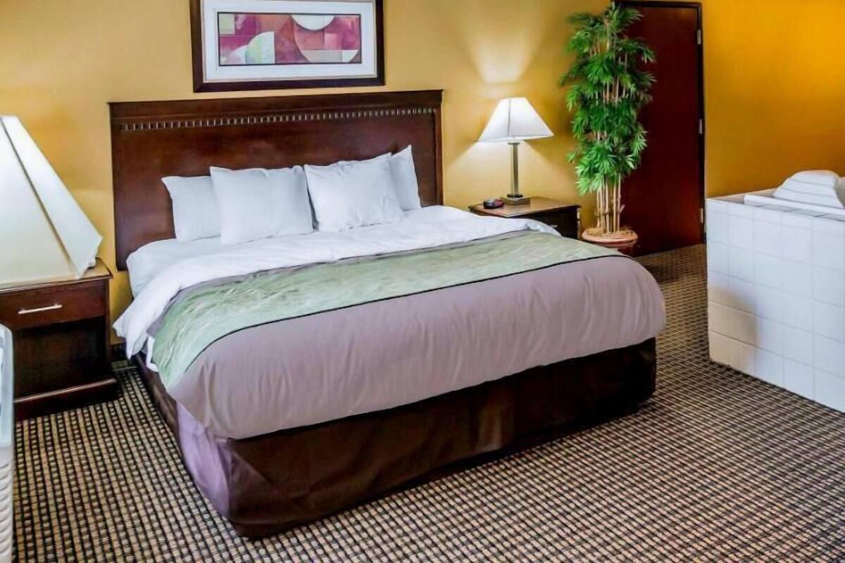 Una habitación de hotel con una cama grande, una mesita de noche con una lámpara, una planta en maceta y un baño con perchero.