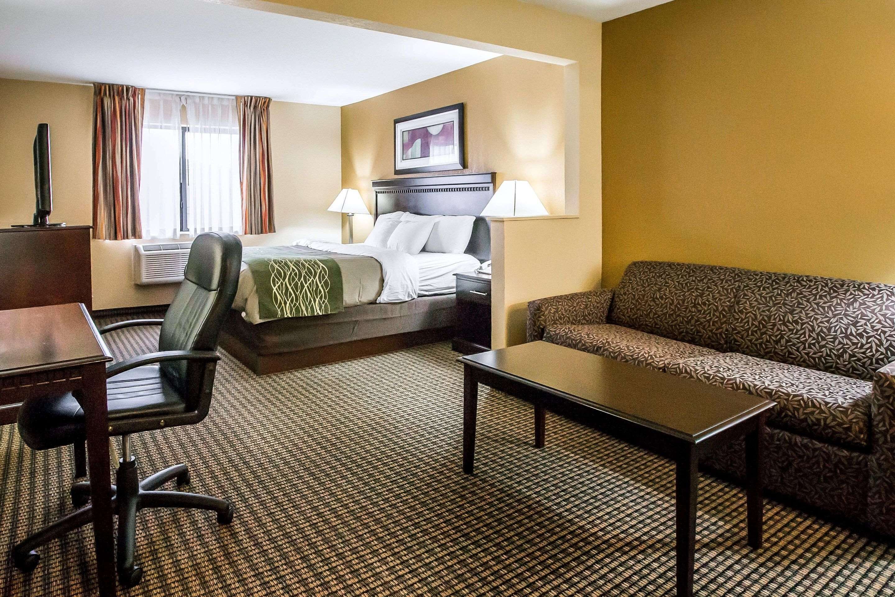 A hotel room with a bed, a sofa, a desk, and a chair.