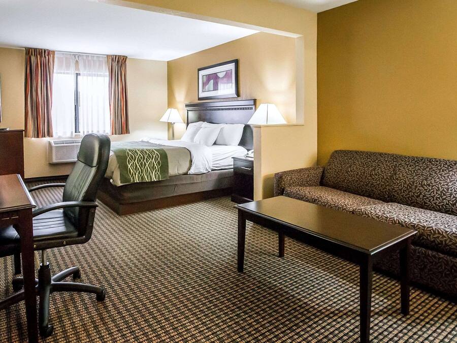 A hotel room with a bed, a sofa, a desk, and a chair.