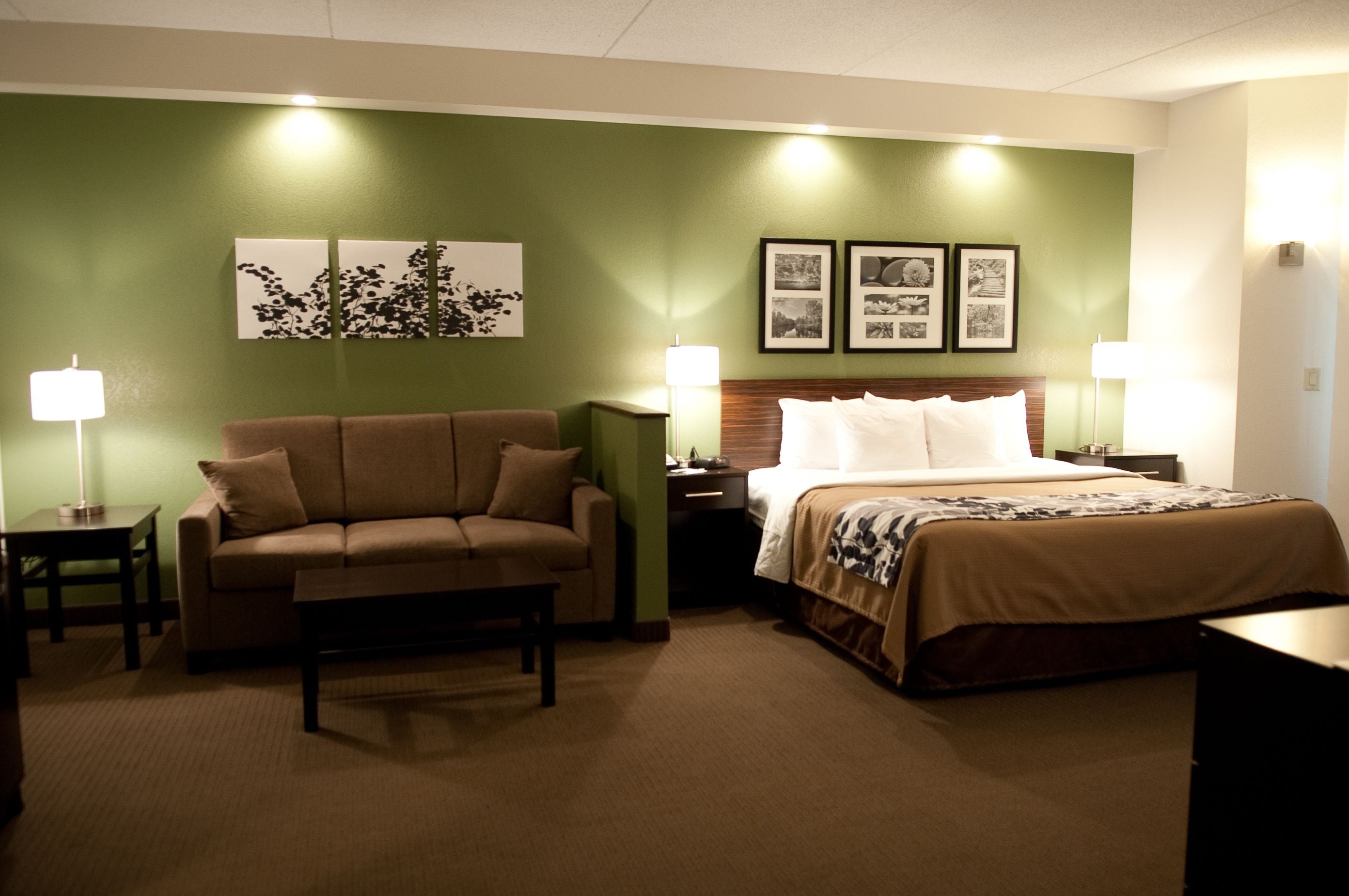Una habitación de hotel con cama, sofá, dos mesitas de noche y decoración en la pared.