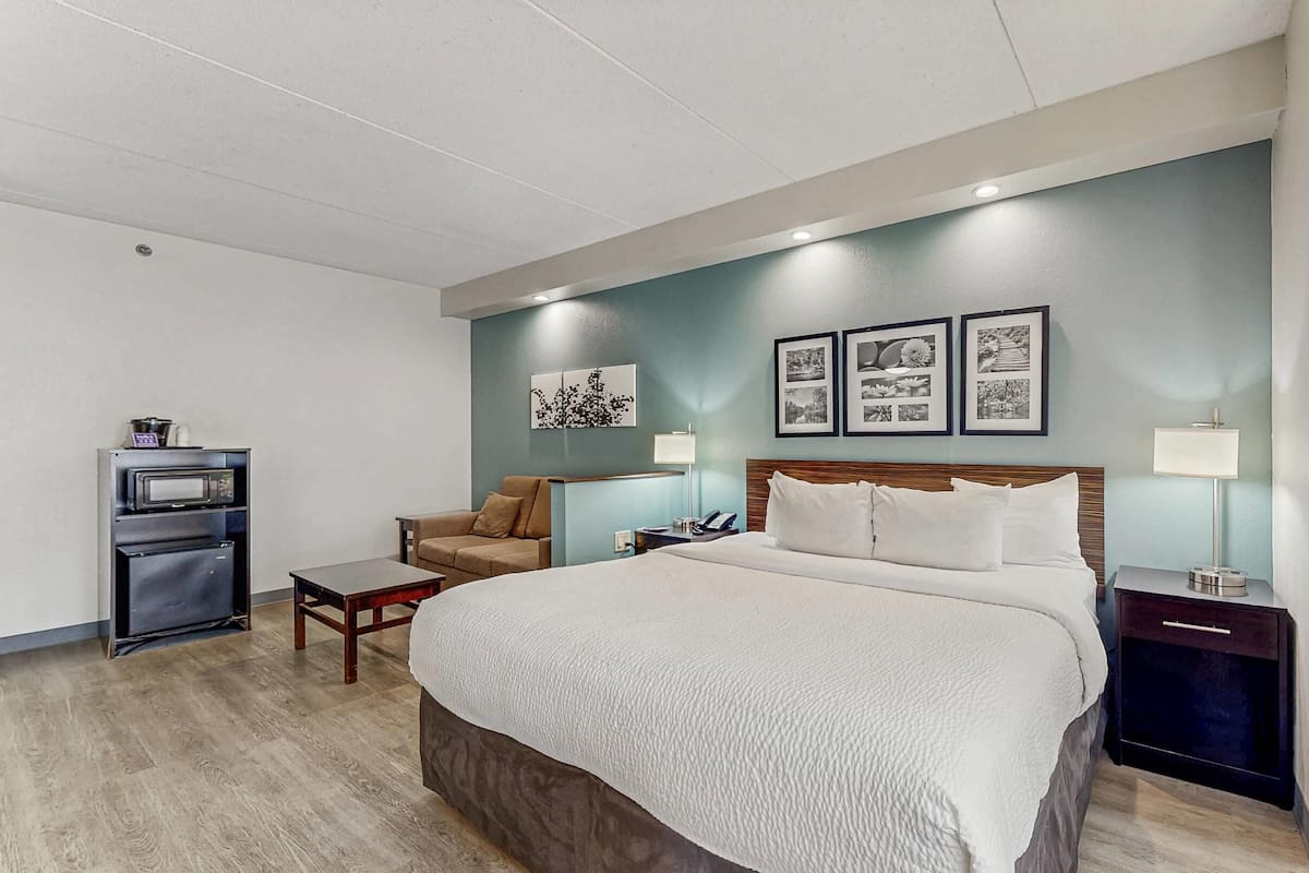 Suite, 1 kingsize bed met slaapbank, niet-roken, bubbelbad | Een bureau, verduisterende gordijnen, een strijkplank/strijkijzer