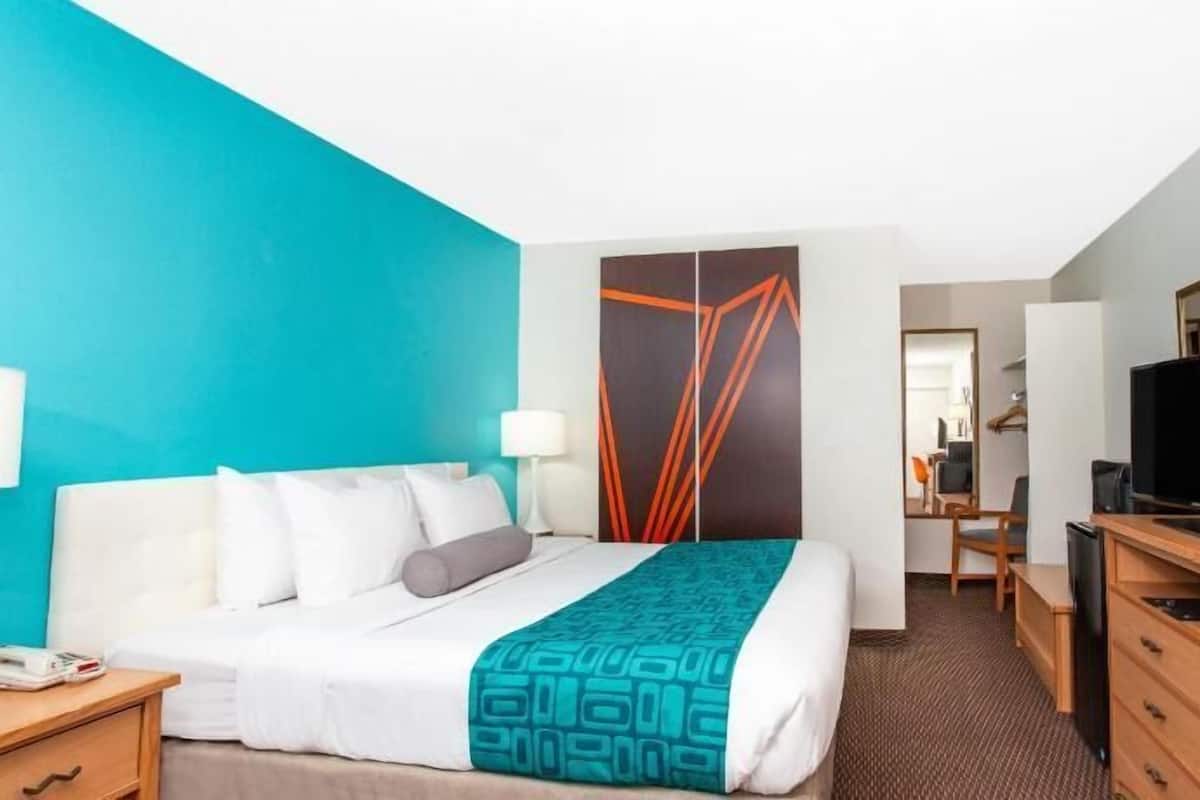 Premium bedding, desk, laptop workspace, blackout curtains