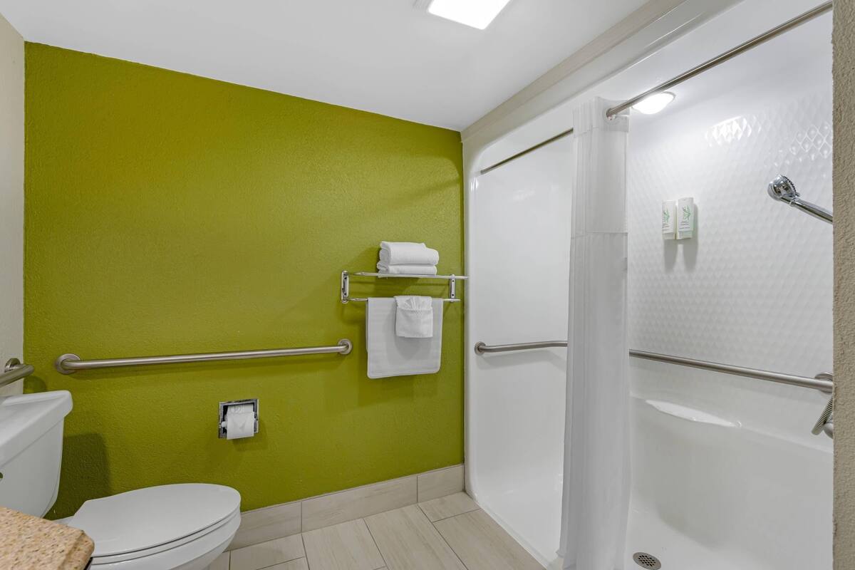 Ein Badezimmer mit grüner Wand, weißer Toilette und einer Duschkabine.