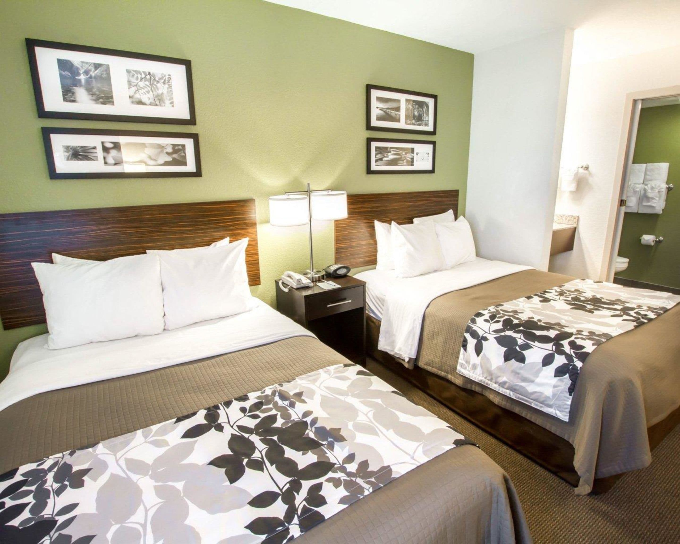 standard double room, 2 double beds, non smoking | desk, blackout curtains, iron/ironing board, free cots/infant beds