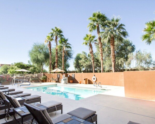 Outdoor pool, sun loungers