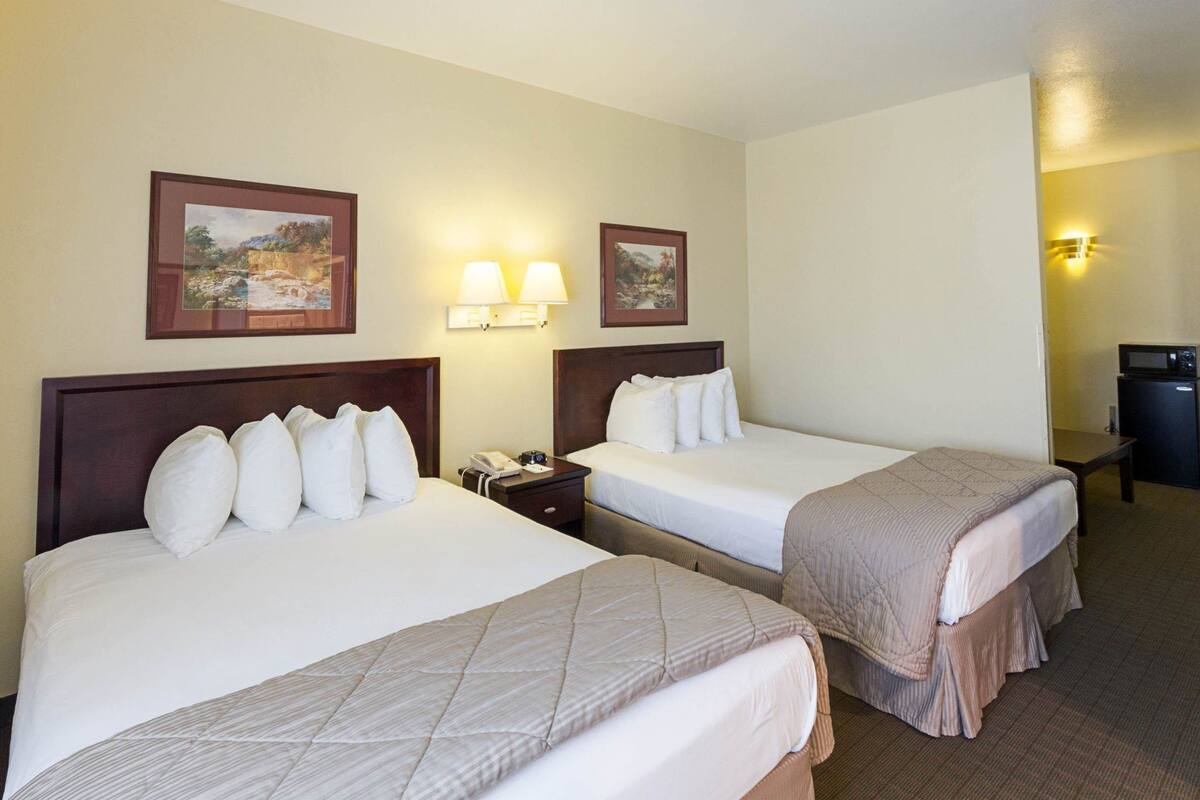 A hotel room with two beds, a desk, a chair, a microwave, and a trash bin.