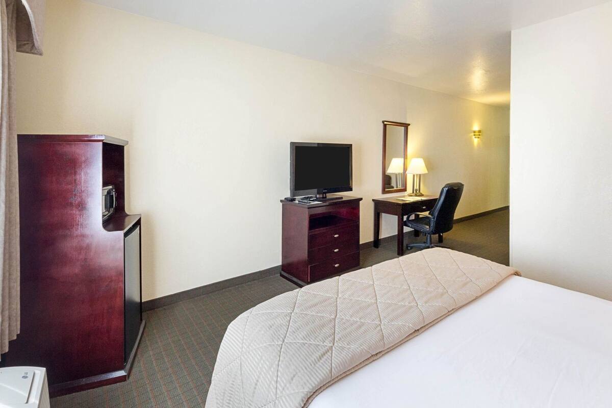 A hotel room with a bed, a desk with a chair, a television, a mirror, and a minibar.