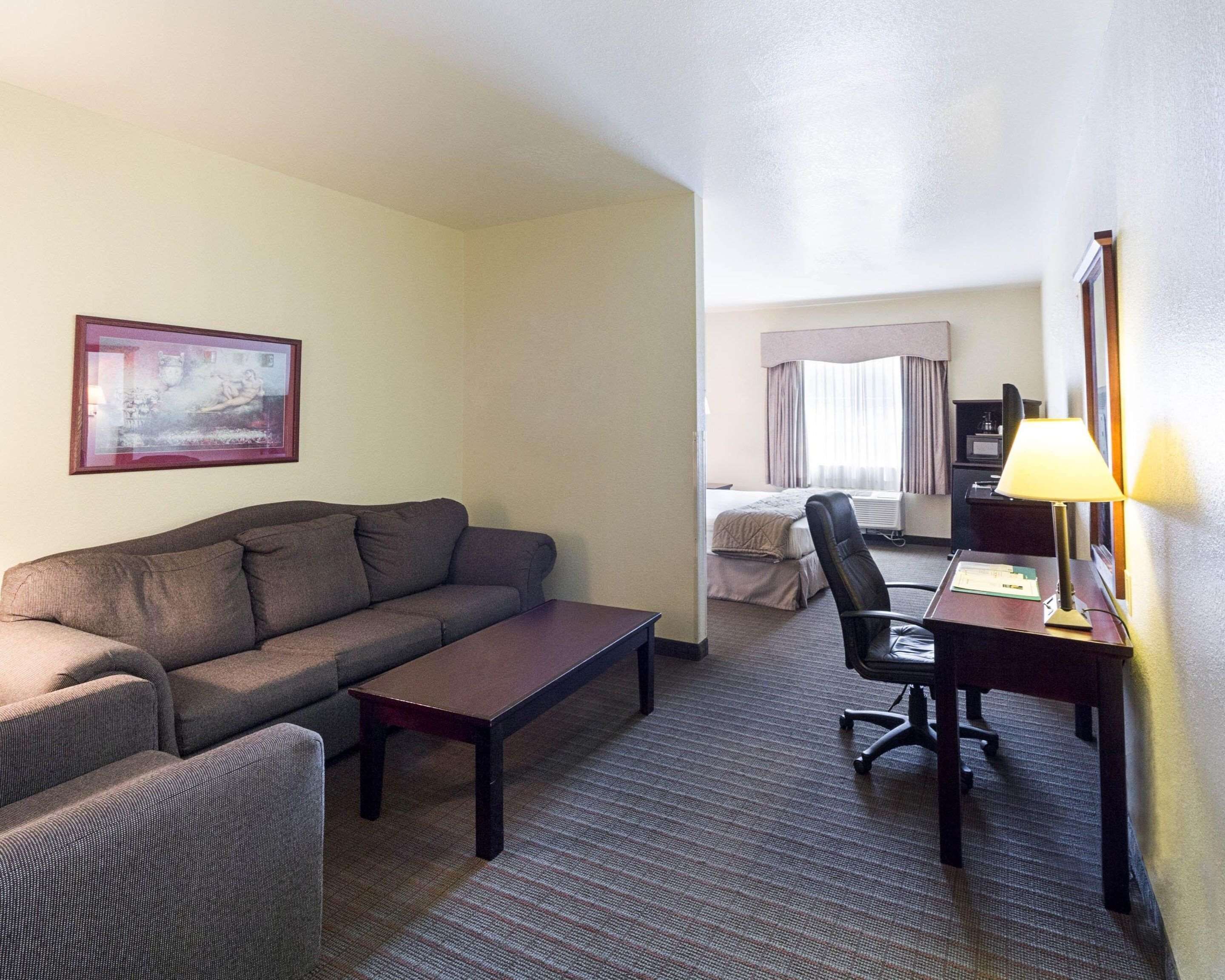 Une chambre d’hôtel avec un canapé, un bureau et une chaise, un lit et une lampe.