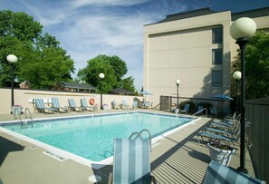 Seasonal outdoor pool, pool umbrellas, pool loungers
