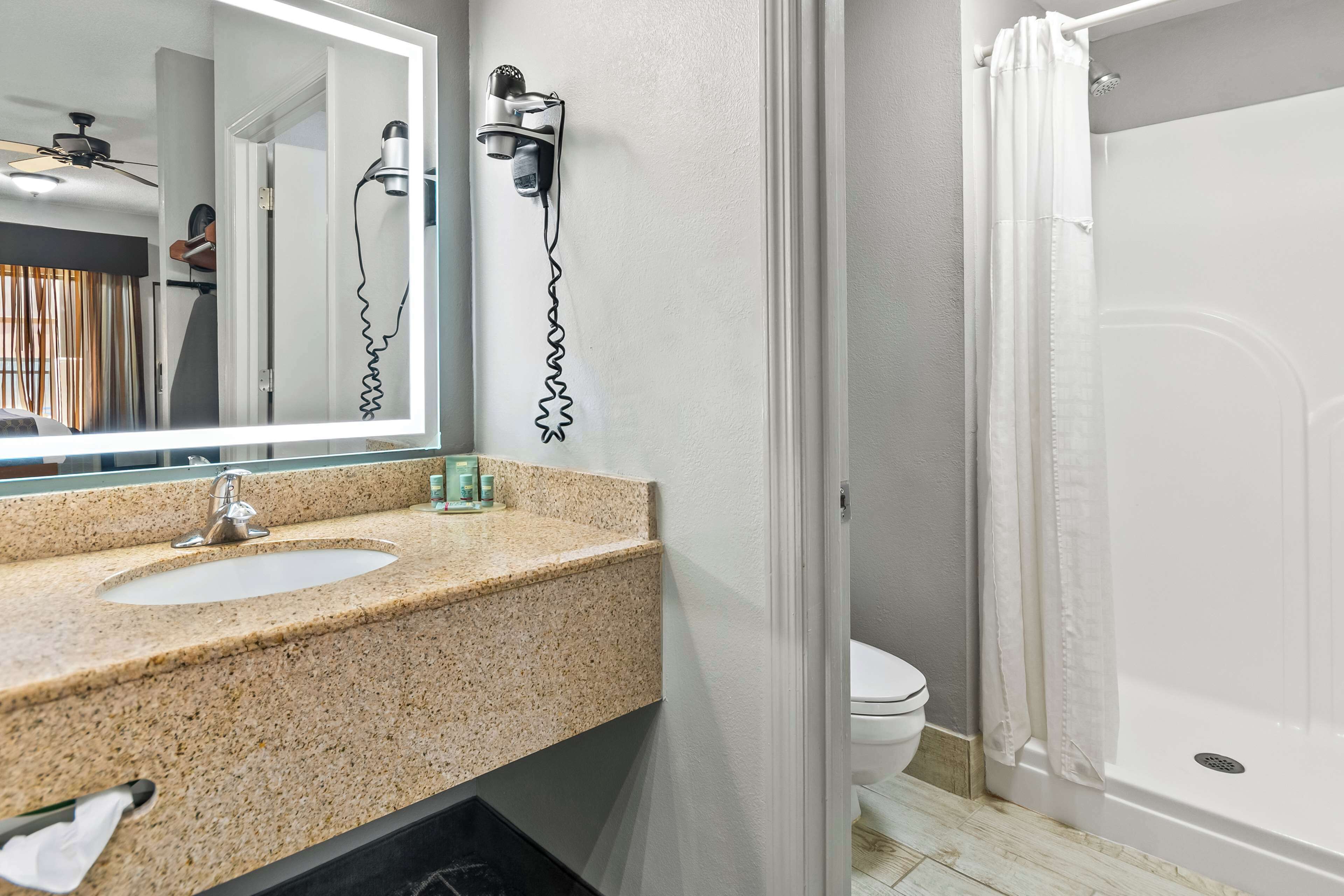 standard room, 1 king bed, non smoking, jetted tub | bathroom | free toiletries, hair dryer, towels, soap