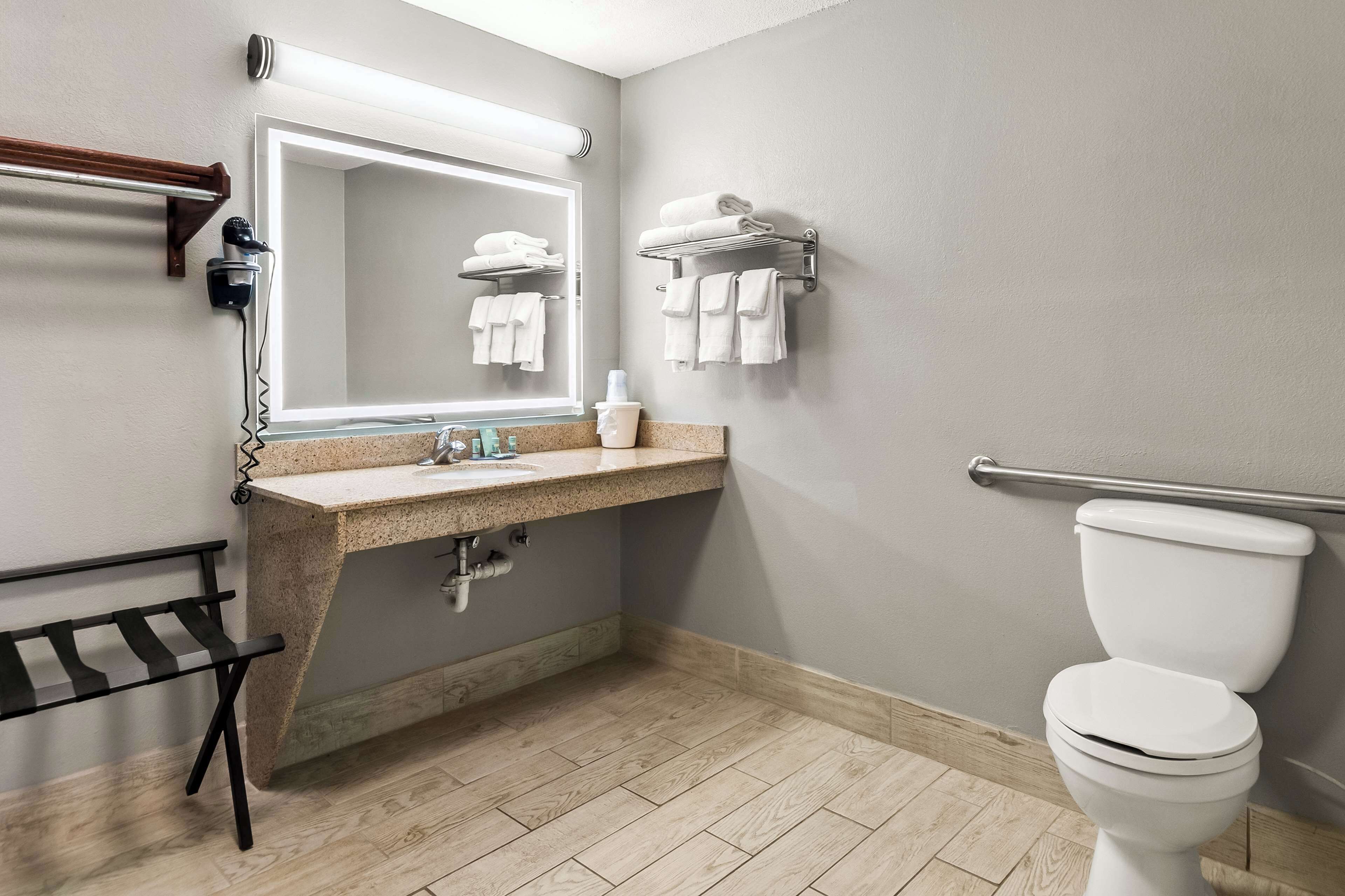 standard room, 1 king bed, accessible, non smoking | bathroom | free toiletries, hair dryer, towels, soap