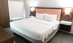 Suite, 1 King Bed, Non Smoking | In-room safe, iron/ironing board, free cribs/infant beds, rollaway beds - Hampton Inn Williamsport-Downtown (Williamsport)