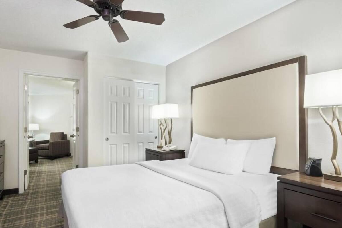 低過敏寢具、書桌、筆電工作空間、遮光布/窗簾