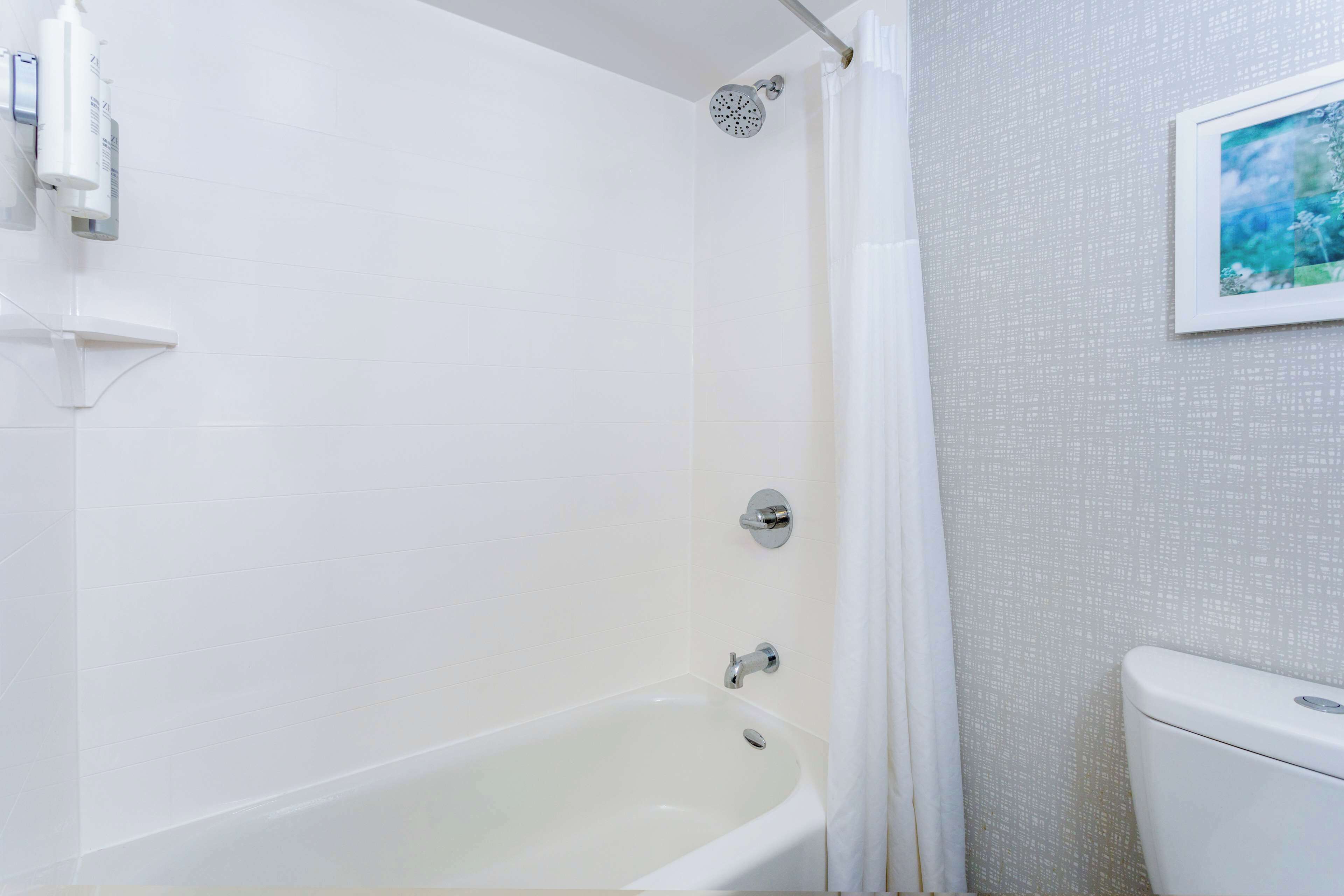 combined shower/bathtub, free toiletries, hair dryer, towels