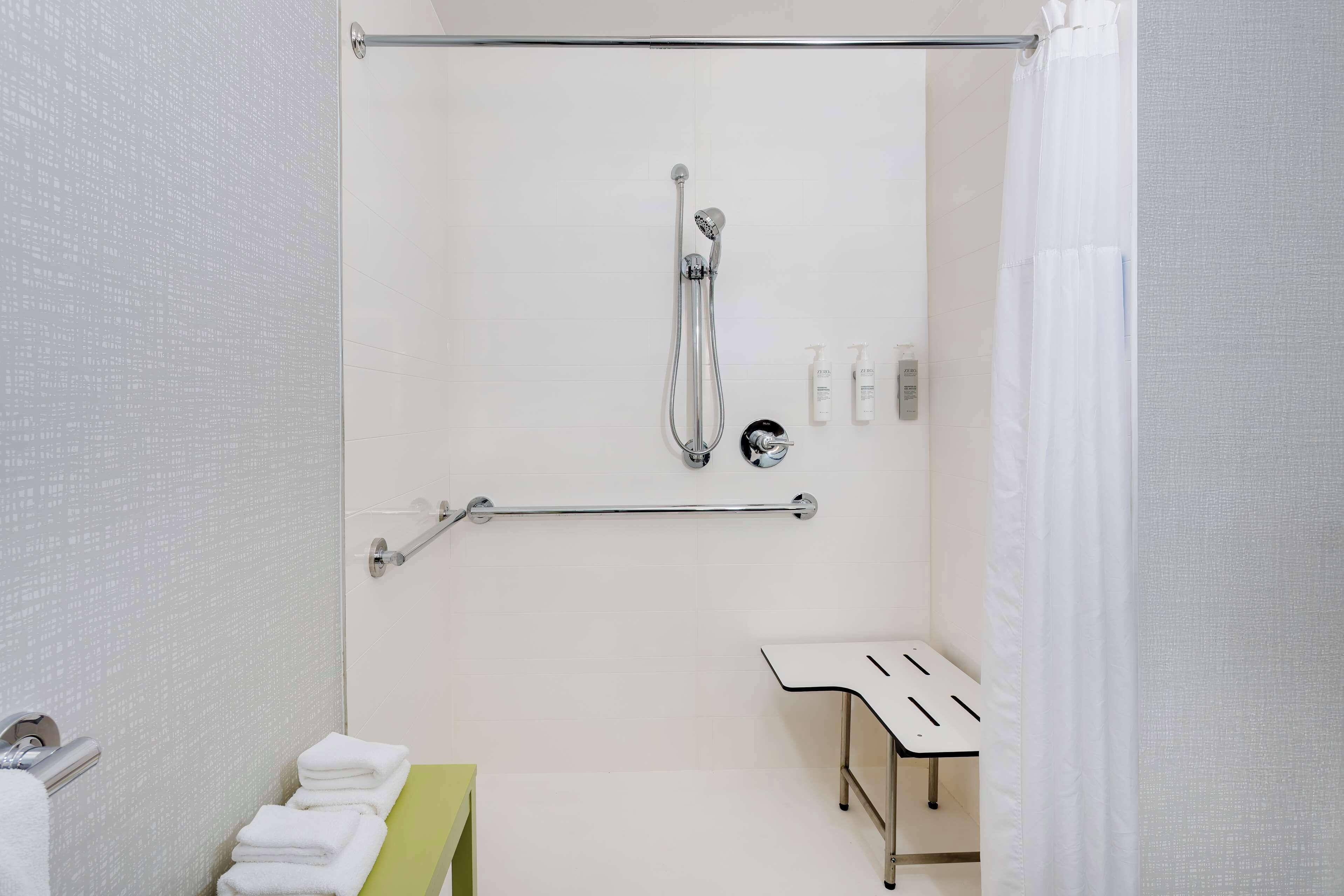 room, 1 king bed, accessible, non smoking | bathroom shower