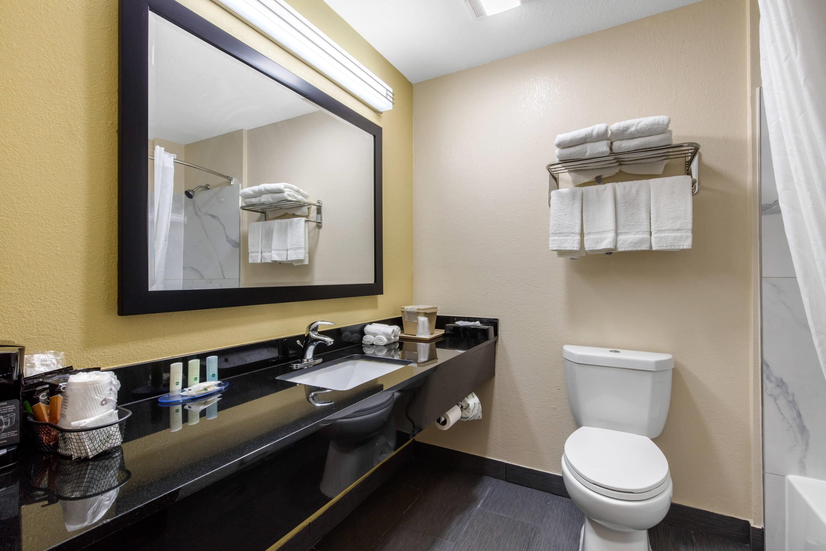 A hotel bathroom with a black sink, a toilet, a mirror, and towels on a rack.