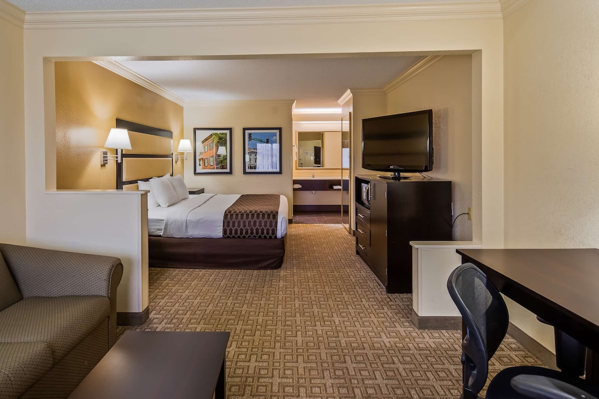Una habitación de hotel con cama, escritorio, televisor, sofá y espejo.