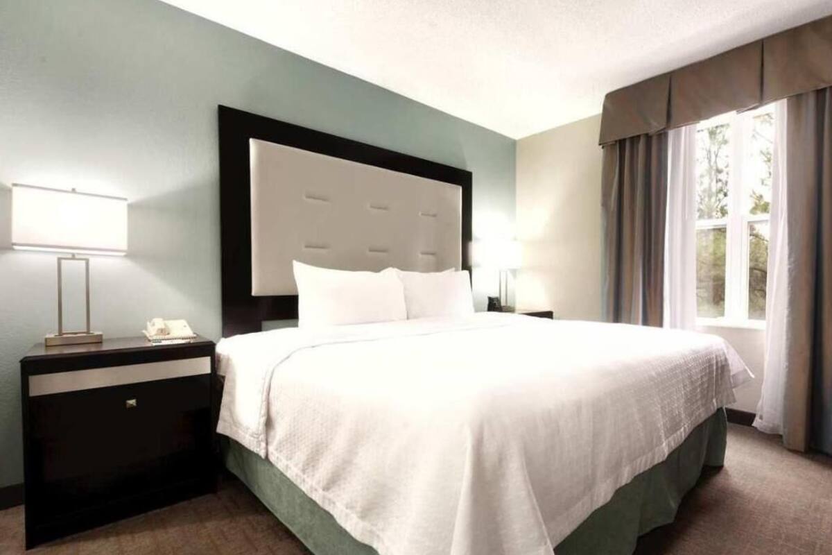 A hotel room with a large bed, a nightstand with a lamp, a window with curtains, and a view of greenery outside.
