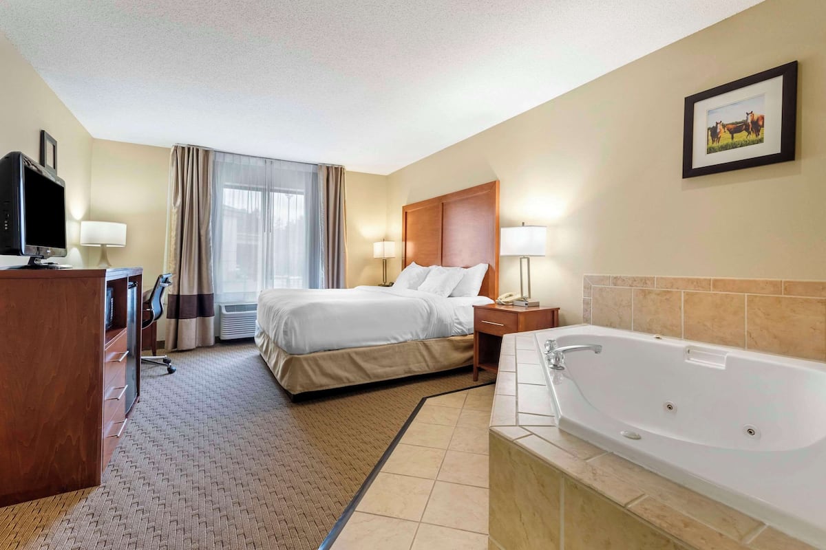 Standard Room, 1 King Bed, Non Smoking | Desk, iron/ironing board, cribs/infant beds, rollaway beds