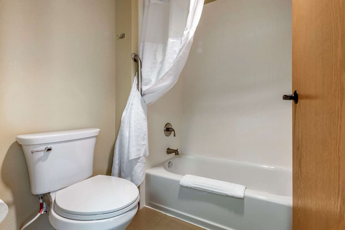 standard room, 1 king bed, non smoking | bathroom | shower, hair dryer, towels