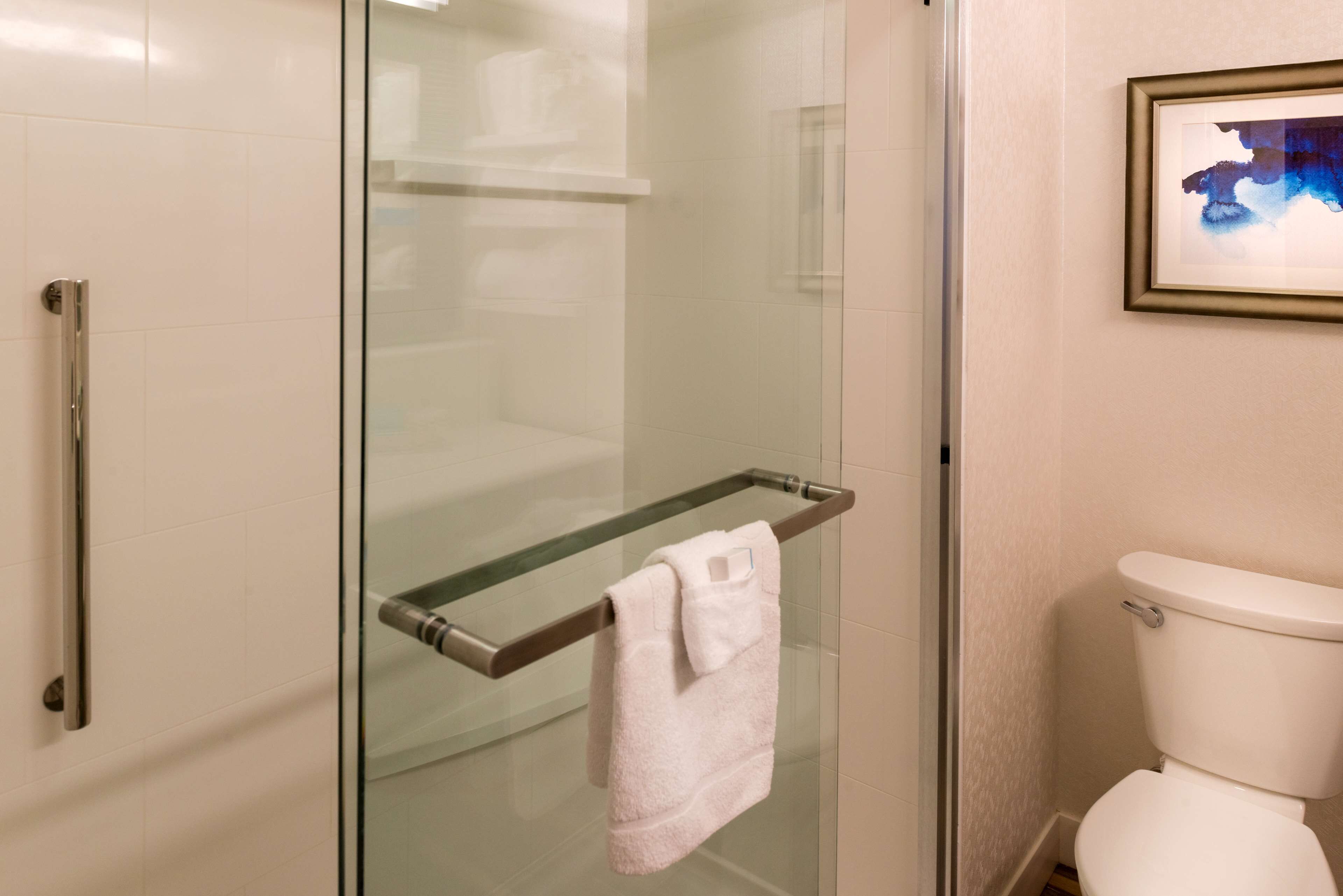 Ein Badezimmer mit Duschkabine aus Glas, einem Glas-Handtuchhalter und einer weißen Toilette.