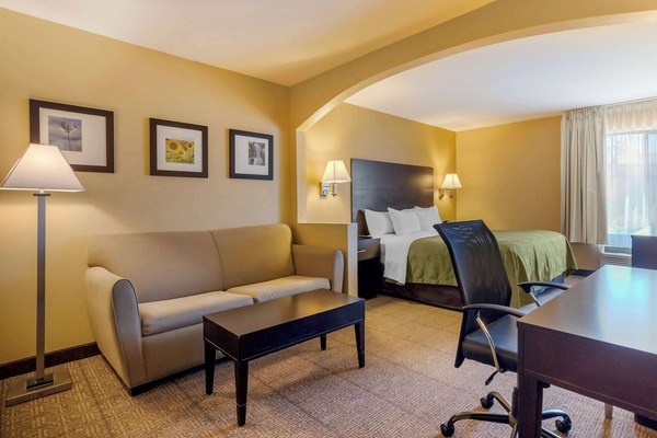 Suite, 1 King Bed with Sofa bed | Desk, blackout drapes, iron/ironing board, free cribs/infant beds
