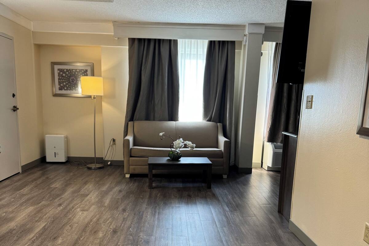 suite, 1 king bed, jetted tub (smoke free) | living area | 50-inch tv with cable channels
