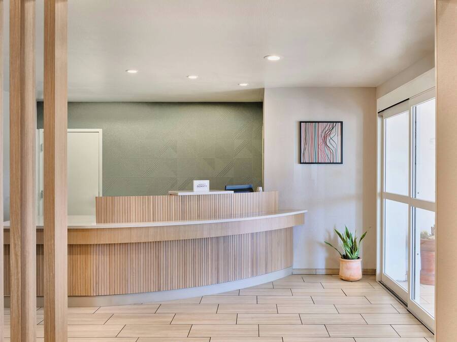 En receptionsdisk med modern design, en krukväxt och ett stort fönster som släpper in naturligt ljus.