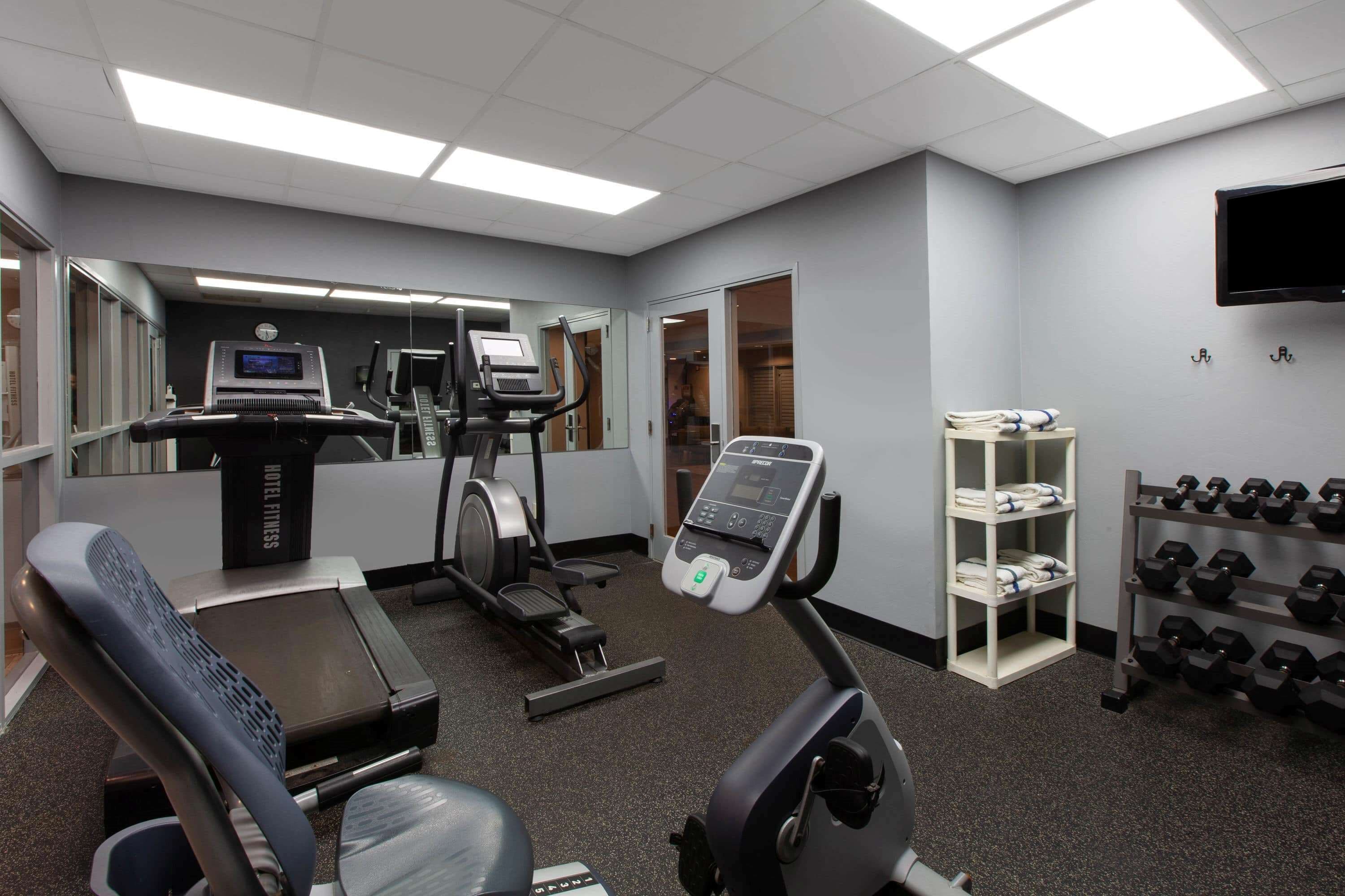 A gym with treadmills, an elliptical, a stationary bike, and a weight rack with dumbbells.
