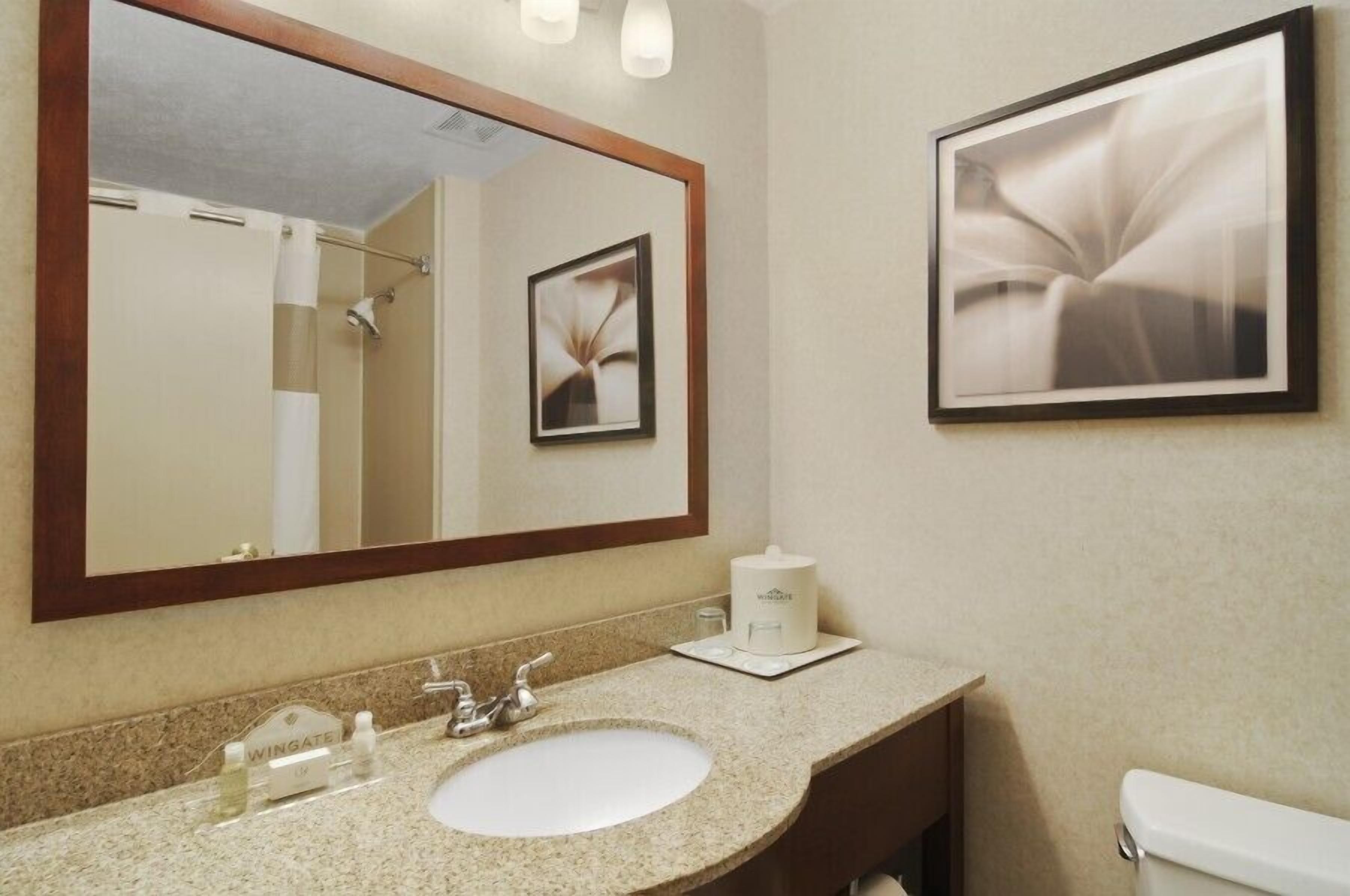 A bathroom with a large mirror, a sink, a toilet, and a framed artwork on the wall.