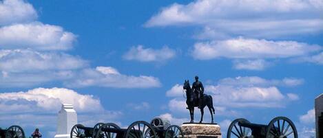 A historical monument with a statue on a pedestal, surrounded by cannons and a stone wall.