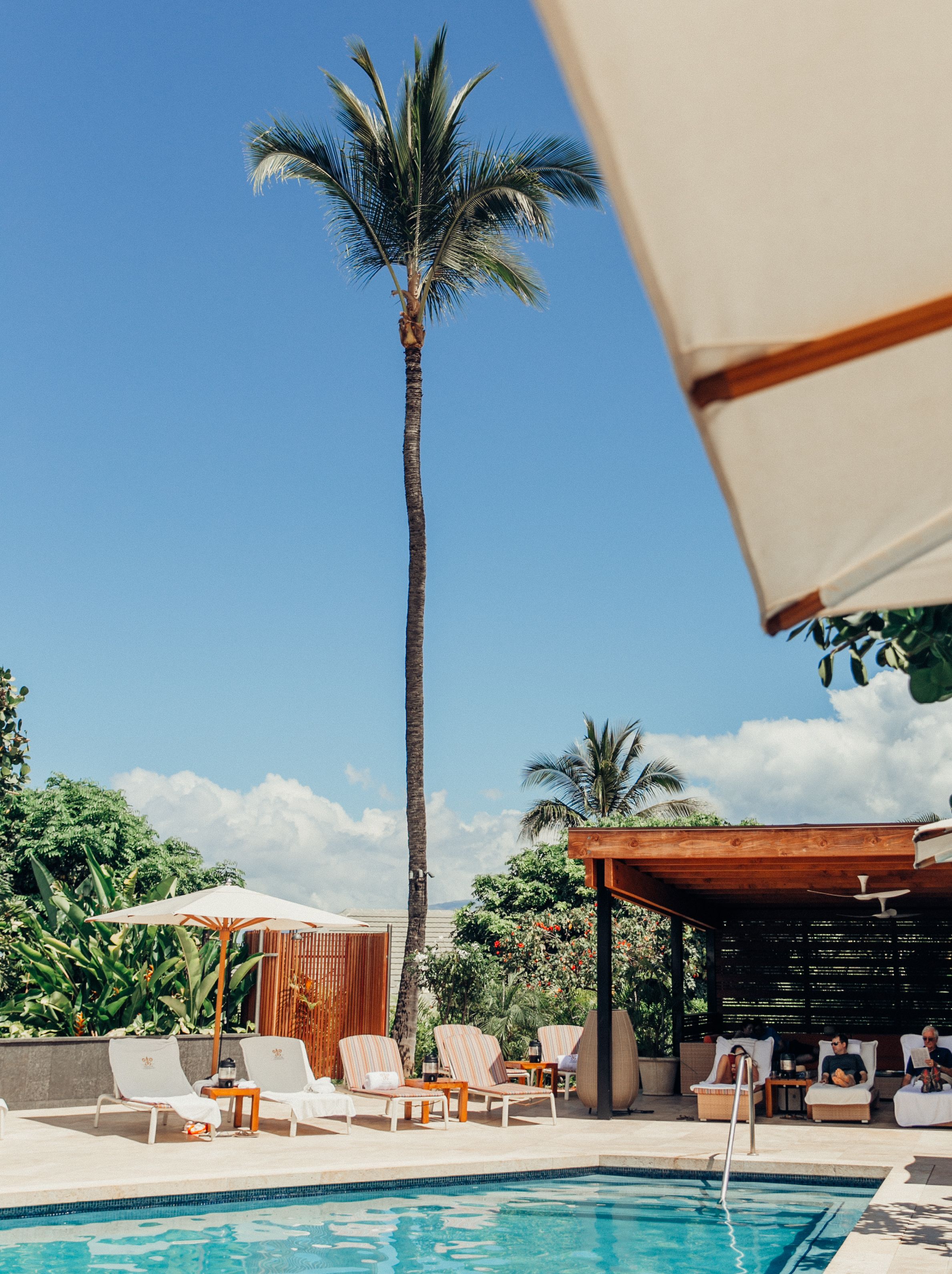 A poolside area with lounge chairs, a palm tree, and a wooden pergola.