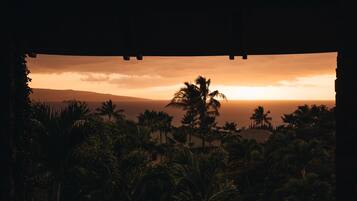 Vista de un paisaje costero con palmeras y un atardecer.