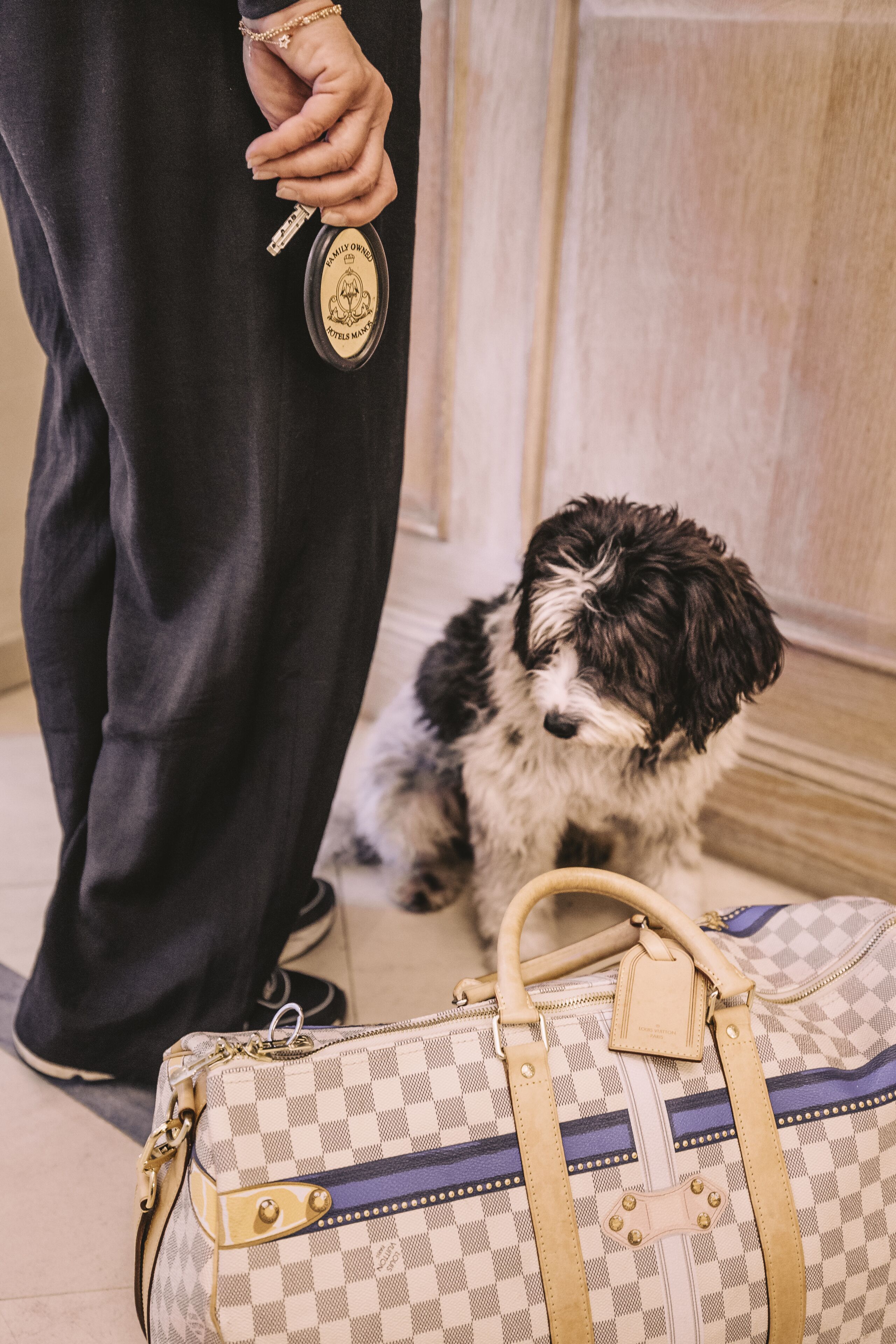 Foto - Hotel Manos Stephanie