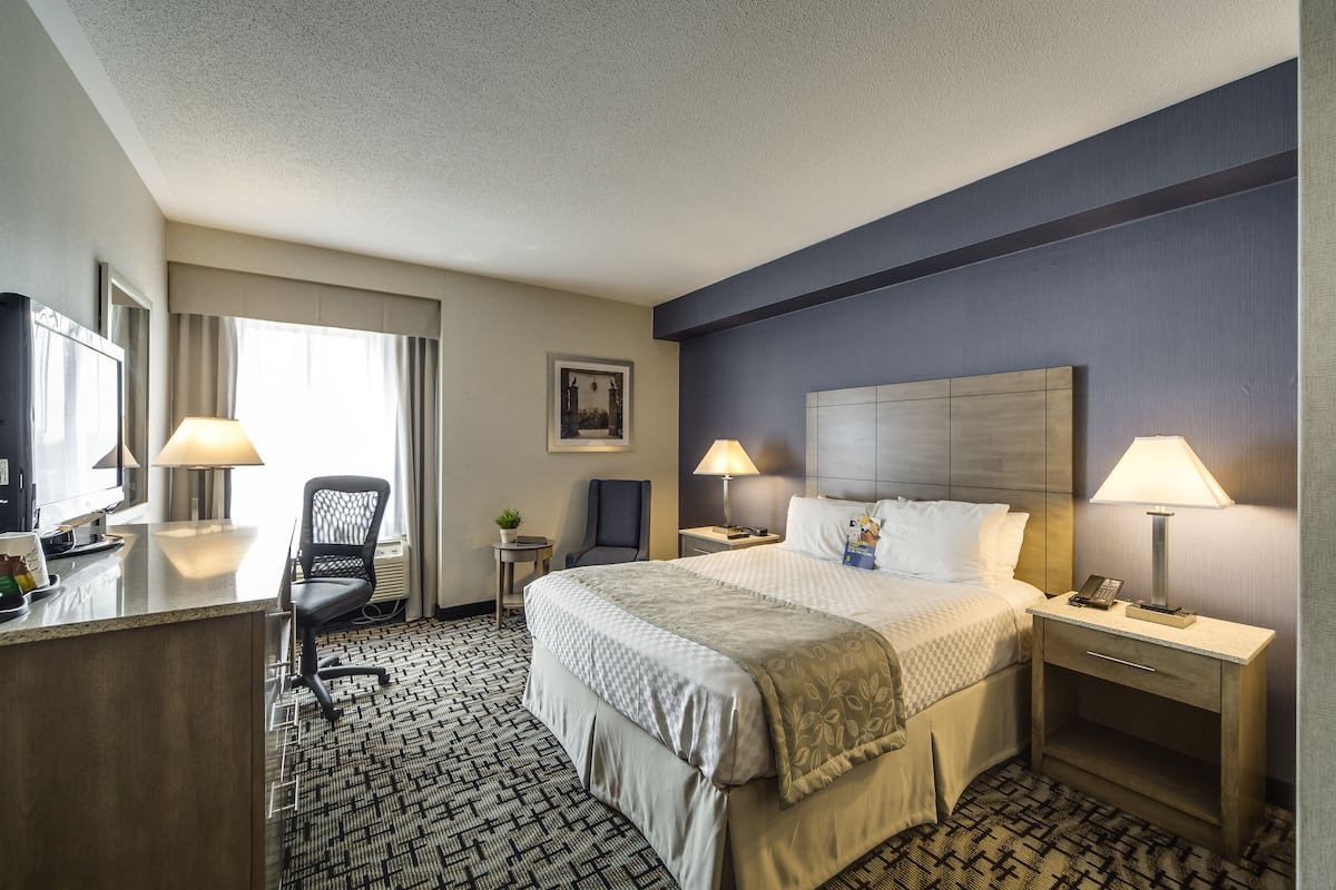 Une chambre d’hôtel comprenant un lit, deux lampes de chevet, un bureau avec une lampe, une chaise, une petite table avec une plante et un tableau encadré au mur.