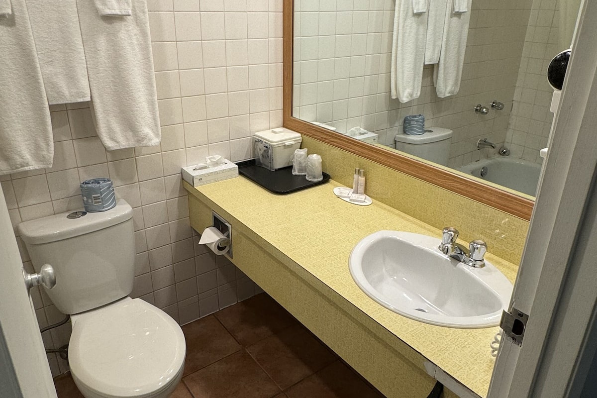 combined shower/bathtub, free toiletries, hair dryer, towels