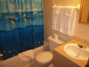 Combined shower/bathtub, free toiletries, hair dryer, towels