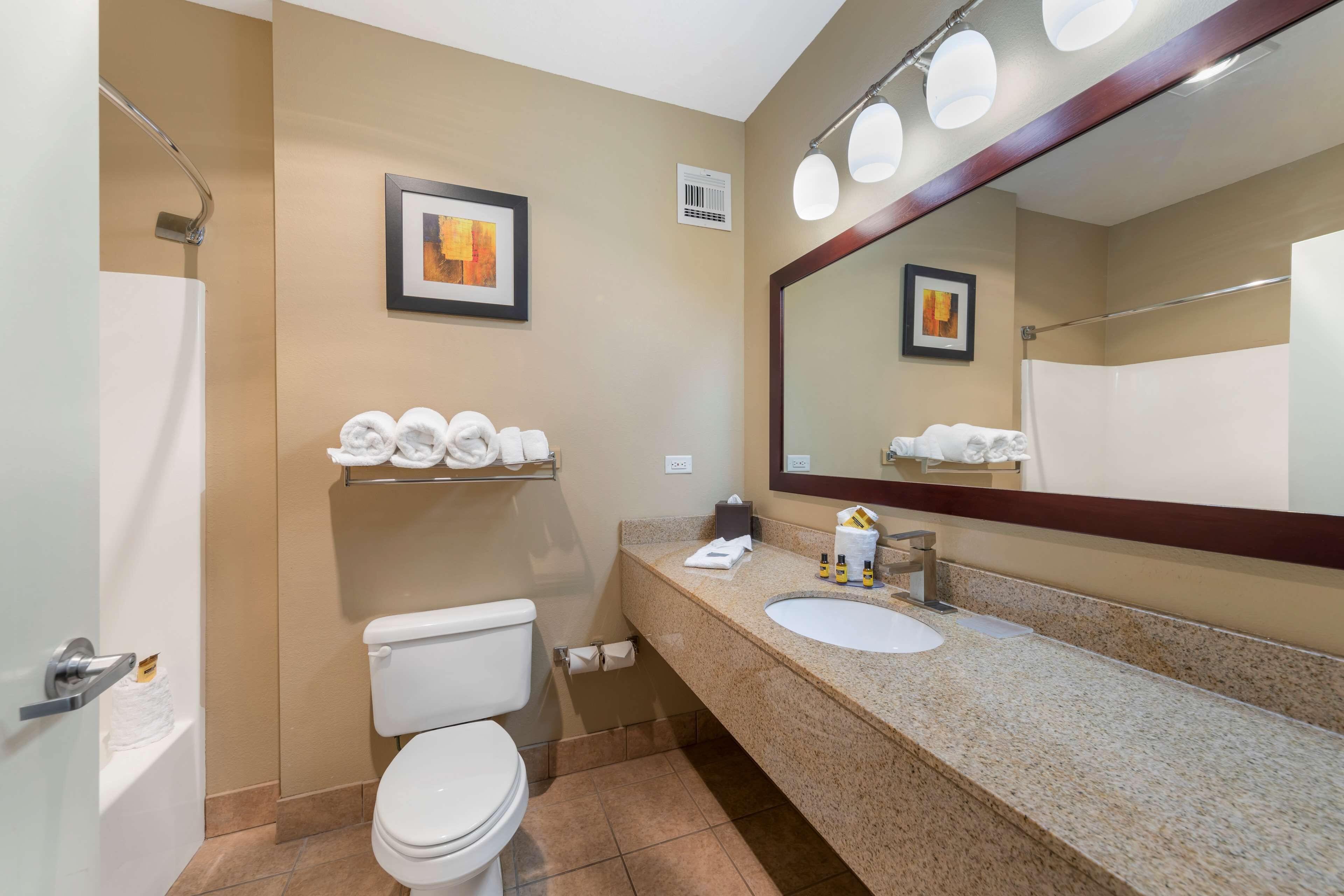 suite, 1 king bed, non smoking, refrigerator & microwave (with sofabed) | bathroom | free toiletries, hair dryer, towels