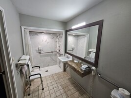 Combined shower/tub, free toiletries, hair dryer, towels