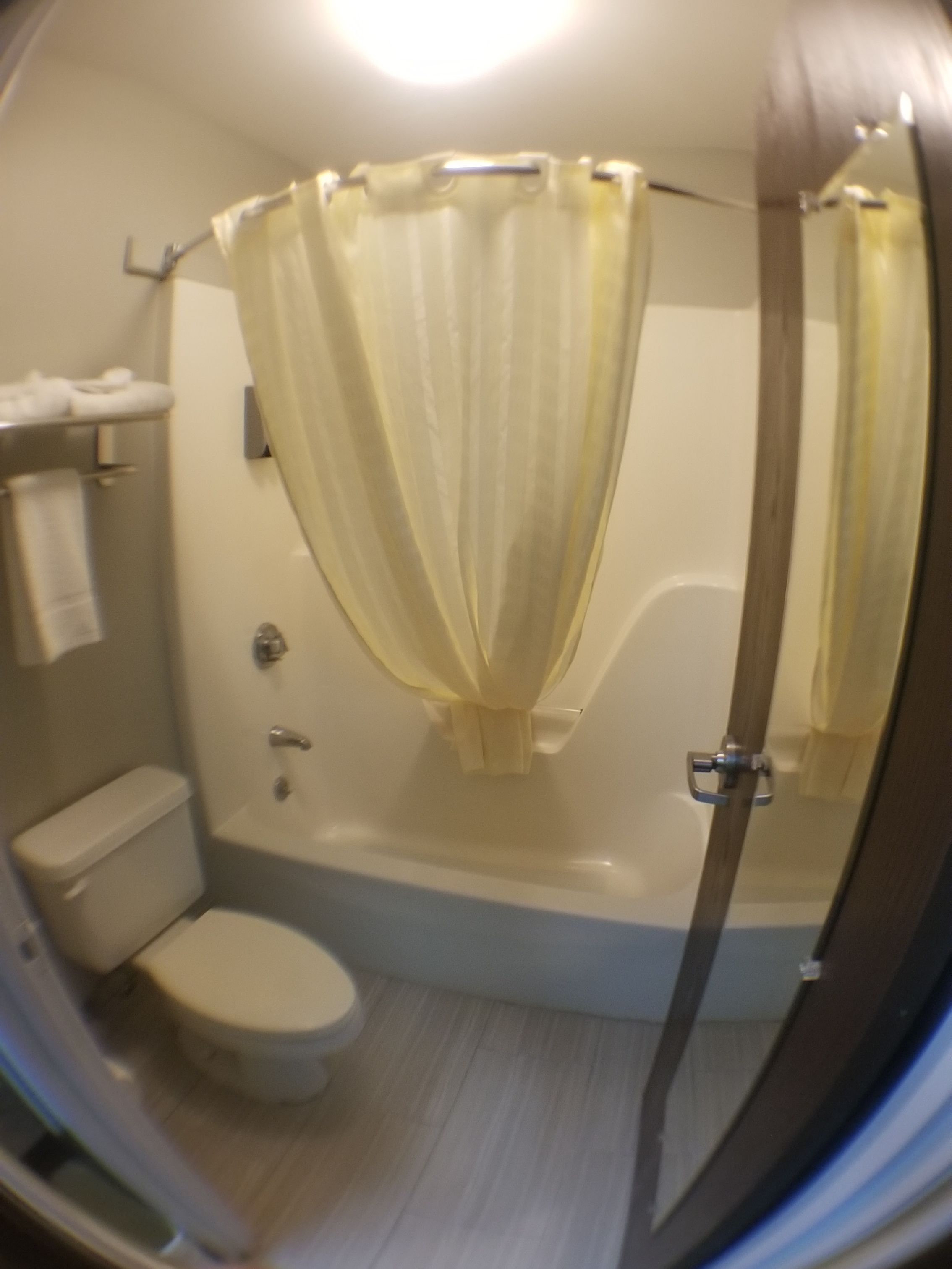 A bathroom with a toilet, a bathtub, and a shower curtain.
