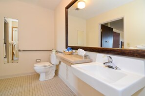 Combined shower/bathtub, free toiletries, hair dryer, towels